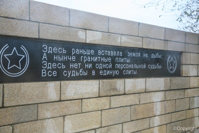 Памятники солдатам вермахта, героизация фашизма: в Общественной палате РФ обсудили сохранение исторической памяти